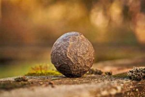 Burnout-Symptome: Wenn der Stein ins Rollen gerät